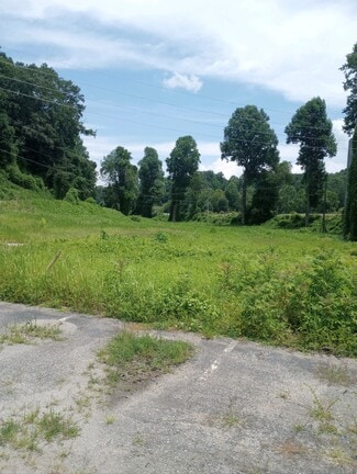 Bryson City, NC Commercial Land - 1011 Bryson Walk`